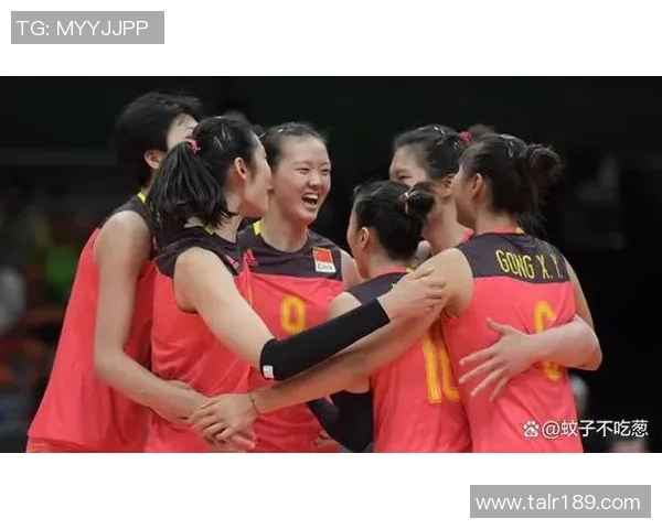 西安排球队的速度变革引发热议排球运动的新篇章与未来展望